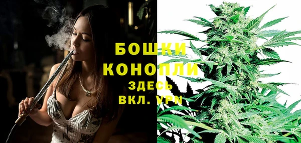прущий лед Горно-Алтайск