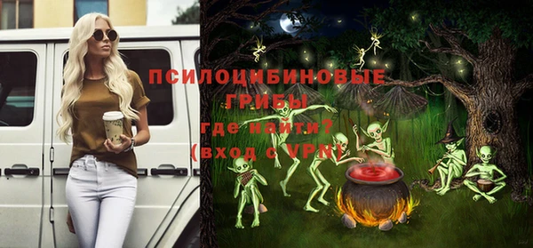 прущий лед Горно-Алтайск