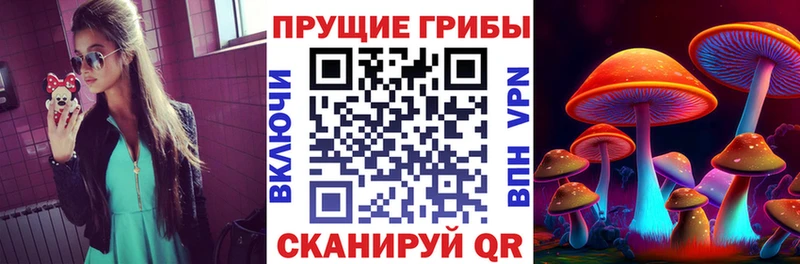 гидра ссылки  Высоцк  Галлюциногенные грибы Psilocybine cubensis 